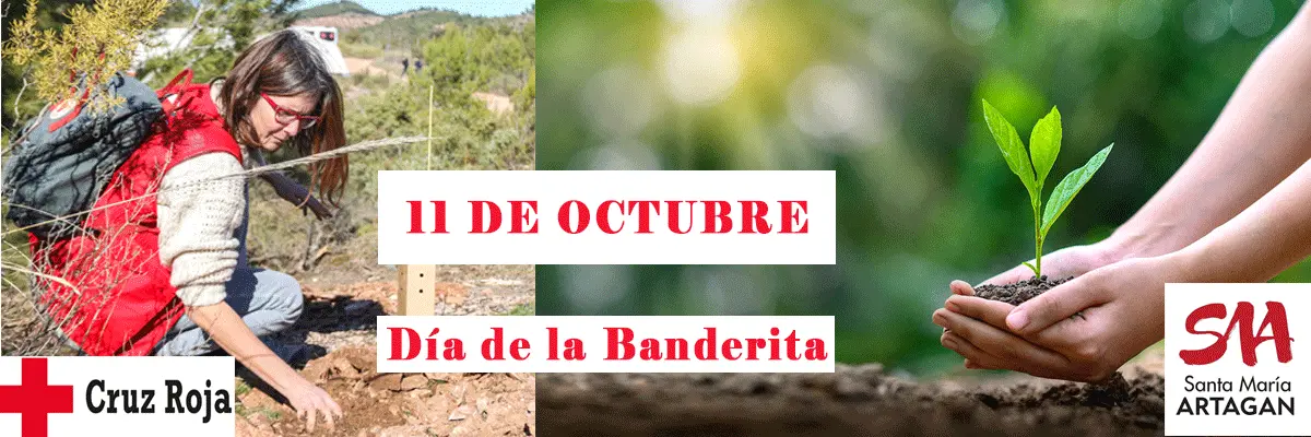 dia de la banderita