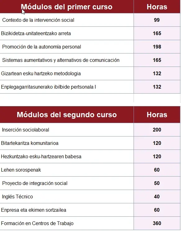 asignaturas de integracion social