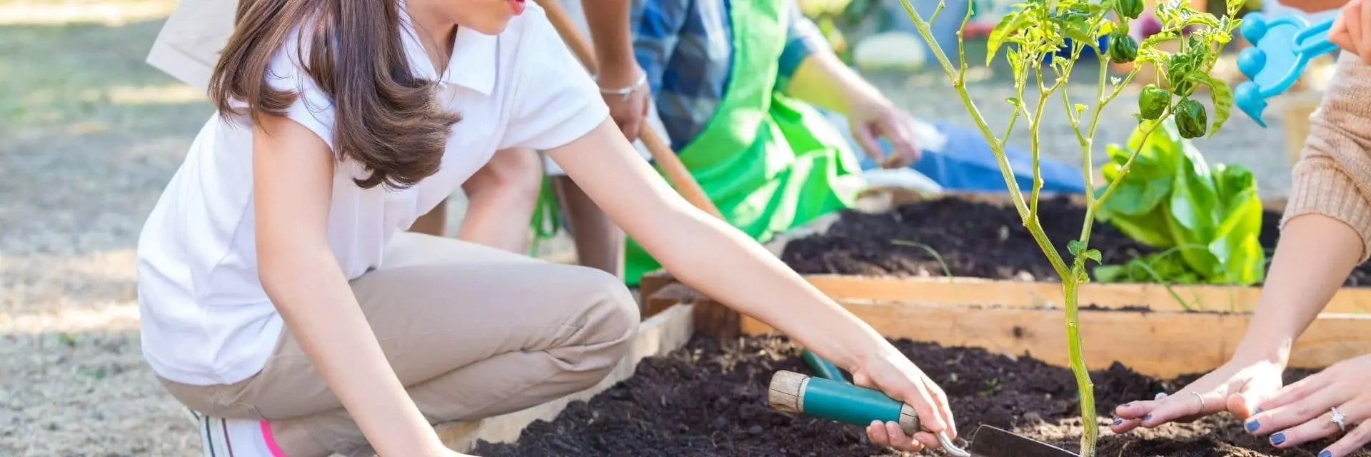 planteate lo que plantas